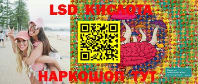 дмт Сланцы