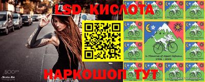 дмт Сланцы